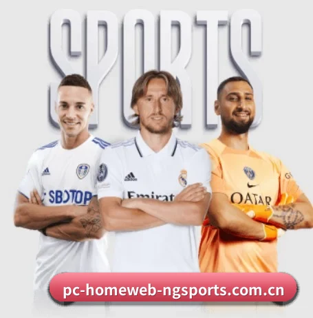 ng体育网页版入口 APP 界面 - NGSPORTS